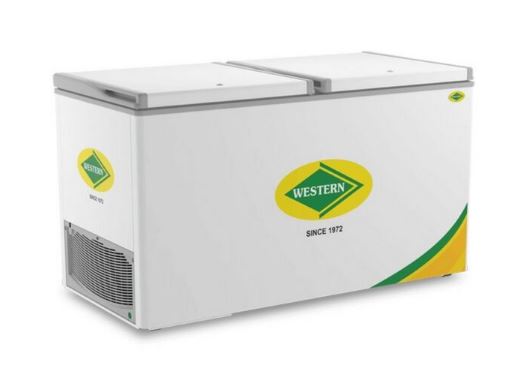 Western, D350H225, Freezer Convertible Hardtop Freezer DUAL